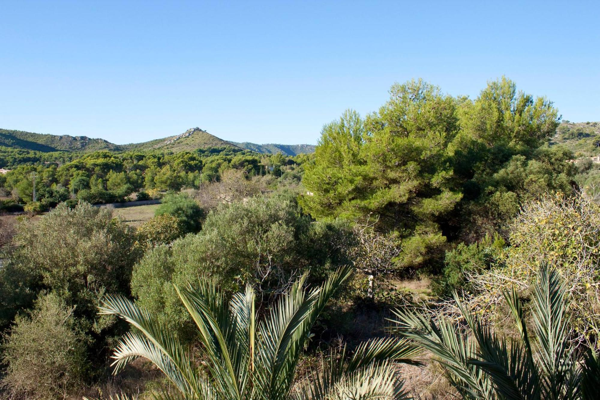 Fonda Palmeras Pensionat 2*